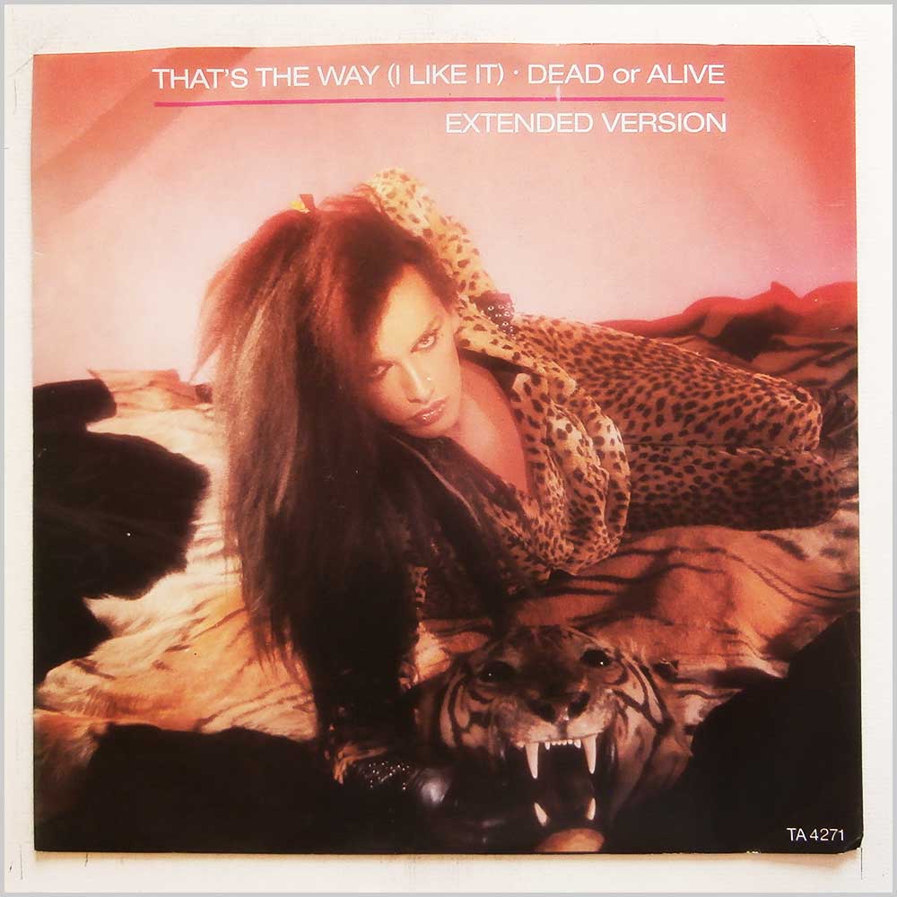 Dead Or Alive - That's The Way (I Like It) (Extended Version) (TA 4271)