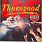 George Thorogood and The Destroyers - Live