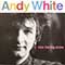 Andy White - Kiss The Big Stone