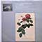 Anthony Lewis, The St. Anthony Singers and L'Ensemble Orchestral De L'Oiseau-Lyre - Purcell: Come Ye Sons Of Art, Lully: Miserere