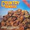 Various - Country Sunrise (20 Giant Hits)