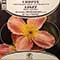 Alexander Brailowsky, Eugene Ormandy, Orchestre de Philadelphie - Chopin: Concerto Pour Piano Et Orchestre No1, Liszt: Danse Macabre