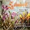 Rudolfe Kempe, The Bamberger Symphony Orchestra - Schubert: Symphony No.8 The Unfinished, Mozart: Eine Kleine Nachtmusik, Brahms: Variations On A Them Of Josef Haydn